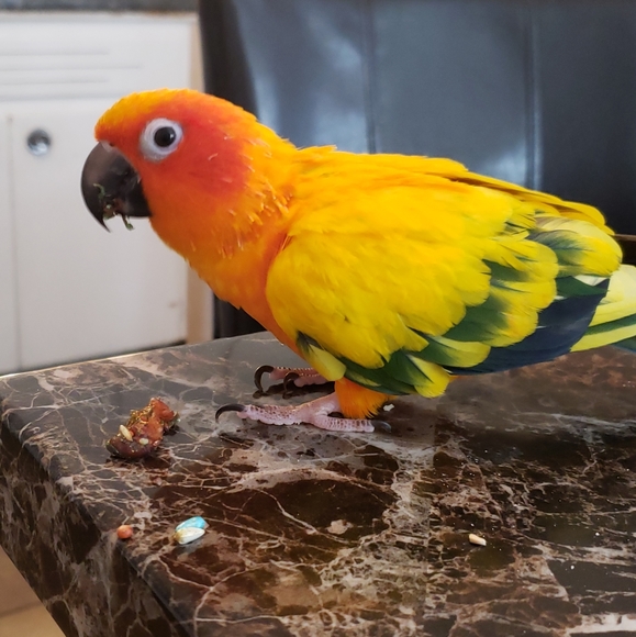 Meet your Posher, Nikki - Picture 7 of 8